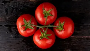 Quattro pomodori freschi su un ramo sopra un fondo in legno scuro